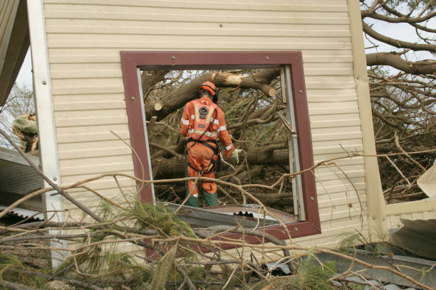 Best Stump Grinding and Removal  in Olive Hill, KY